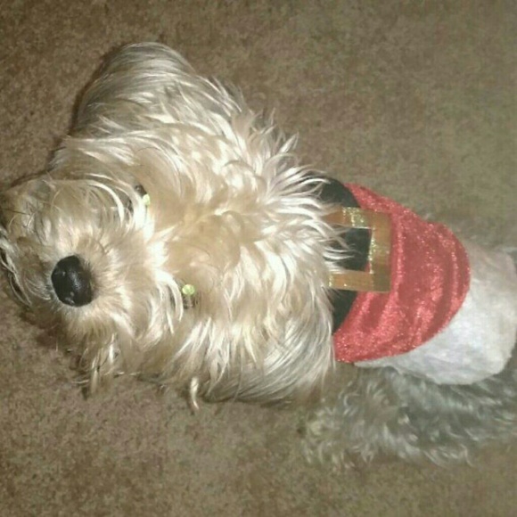 Meet your Posher, Elizabeth - Picture 2 of 2